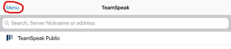 TeamSpeak_start 03